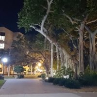 Historical & Heritage Tours