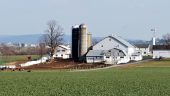 Amish experiences - July 3rd,2026
