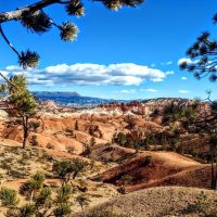 Tours & Sightseeing
