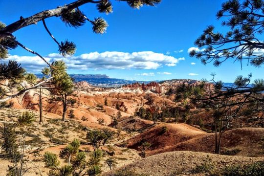 Labor Day in Bryce Canyon National Park