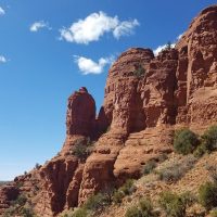 Day Trips & Excursions