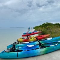Eco Tours