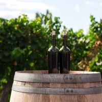 Wine Tasting & Winery Tours