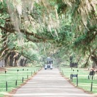 Plantation Tours