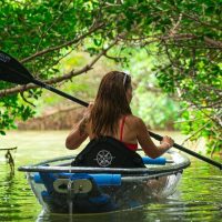 Cruises, Sailing & Water Tours