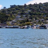 Shore Excursions