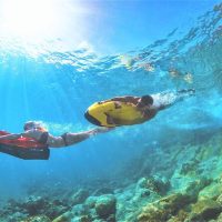 Snorkeling