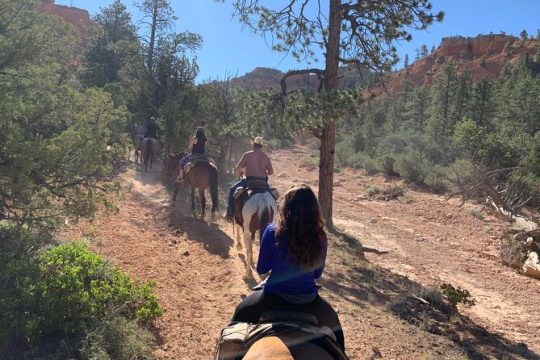 Veteran's Day in Bryce Canyon National Park