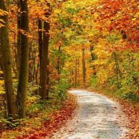 Eco Tours