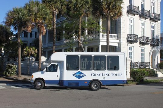 Hanukkah in Charleston