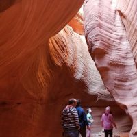 Hiking & Camping