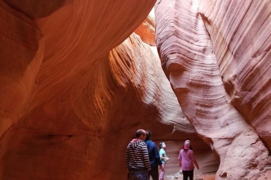 Veteran's Day in Zion National Park