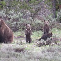Full-day Tours