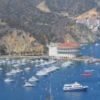 Boat Tours