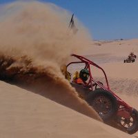 Private Sightseeing Tours