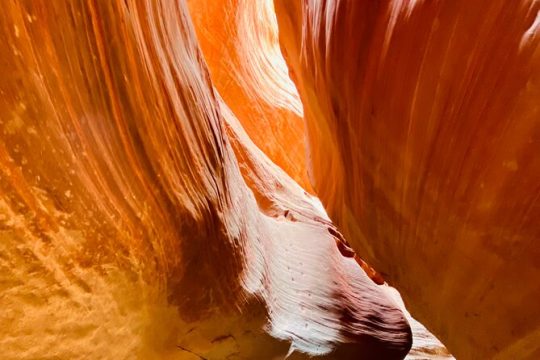 New Year’s Day long weekend in Zion National Park