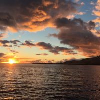 Dinner Cruises
