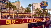 Great tour of the strip and more