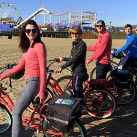 Private Sightseeing Tours