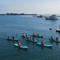 Water Sports