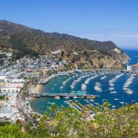 Tours & Sightseeing