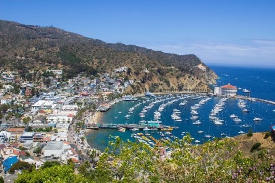 Veteran's Day in Catalina Island