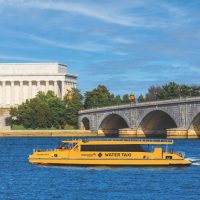 Day Cruises