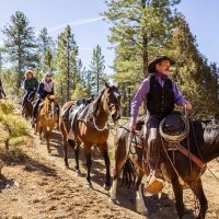 Horseback Riding