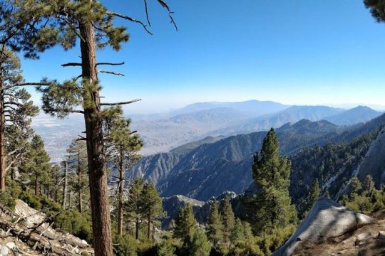 Labor Day in Palm Springs