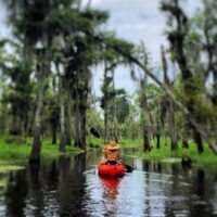 Kayaking & Canoeing