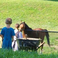 Bus & Minivan Tours