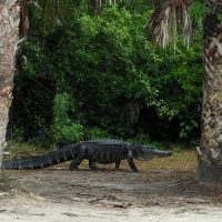 Day Trips & Excursions