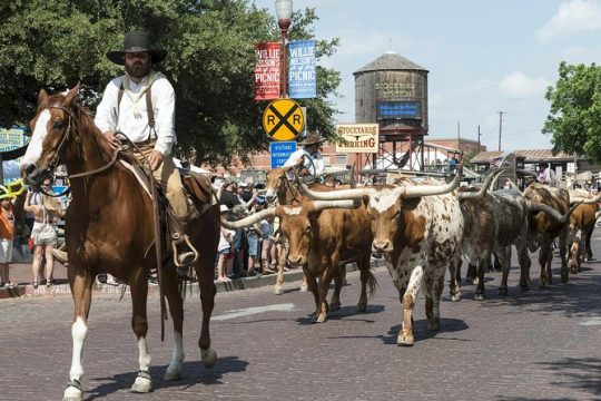 Veteran's Day in Fort Worth