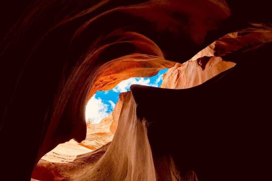 Labor Day in Zion National Park