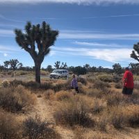 Day Trips & Excursions