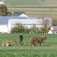 Historical & Heritage Tours