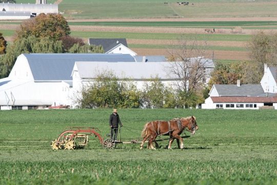 Labor Day in Lancaster