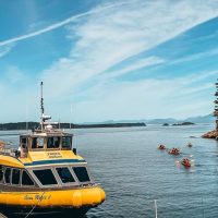 Cruises, Sailing & Water Tours