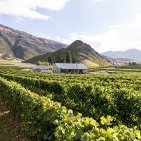 Bus & Minivan Tours