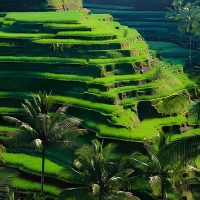 Tours & Sightseeing