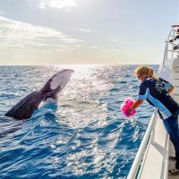Cruises, Sailing & Water Tours