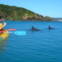 Day Trips & Excursions