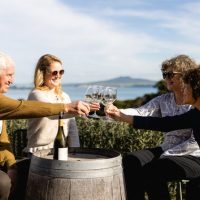 Luxury Tours