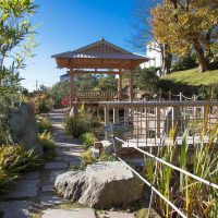 Holiday & Seasonal Tours