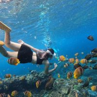 Day Trips & Excursions