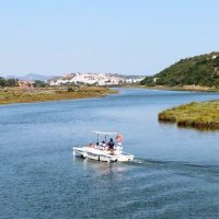 Half-day Tours