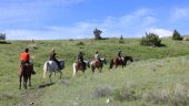 What a fantastic horse trail ride.