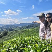 Private & Custom Tours