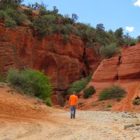 Half-day Tours