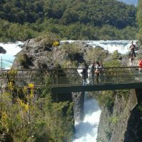 Cultural & Theme Tours